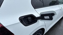 VOLKSWAGEN GOLF 1.5 TSI 150 Match 5dr 5454694