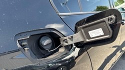 VOLKSWAGEN GOLF 1.5 eTSI 150 Match 5dr DSG 5634279