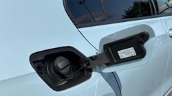 VOLKSWAGEN GOLF 1.5 eTSI 150 Match 5dr DSG 5634207