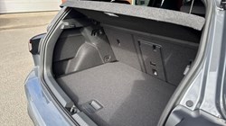 VOLKSWAGEN GOLF 2.0 TSI 265 GTI 5dr DSG 5800139