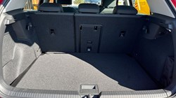 2023 (73) VOLKSWAGEN GOLF 1.5 TSI Style 5dr 3508679