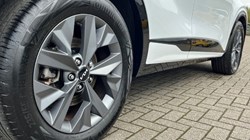 2023 (23) KIA SPORTAGE 1.6T GDi HEV GT-Line S 5dr Auto 3470758