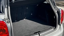 2019 (19) MINI COUNTRYMAN 2.0 Cooper S Exclusive 5dr Auto 3465939