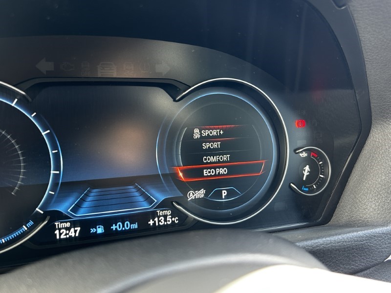 2019 (19) BMW 3 SERIES 335d xDrive M Sport Shadow Edition 5dr Step Auto 3559506