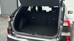 2020 (20) FORD KUGA 2.0 EcoBlue mHEV ST-Line First Edition 5dr 4788902