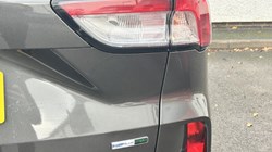 2020 (20) FORD KUGA 2.0 EcoBlue mHEV ST-Line First Edition 5dr 4788900