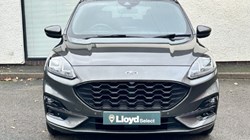 2020 (20) FORD KUGA 2.0 EcoBlue mHEV ST-Line First Edition 5dr 4788936