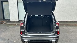 2020 (20) FORD KUGA 2.0 EcoBlue mHEV ST-Line First Edition 5dr 4788901