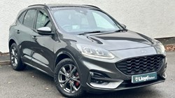 2020 (20) FORD KUGA 2.0 EcoBlue mHEV ST-Line First Edition 5dr 4788932