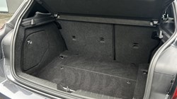 2019 (19) BMW 1 SERIES 120d M Sport Shadow Ed 5dr Step Auto 4939327