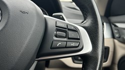 2020 (20) BMW X1 xDrive 18d xLine 5dr Step Auto 5213014