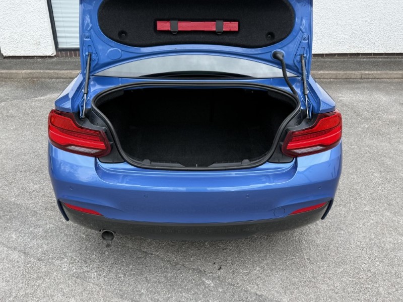 2017 (67) BMW 2 SERIES 218i M Sport 2dr [Nav] 5376935