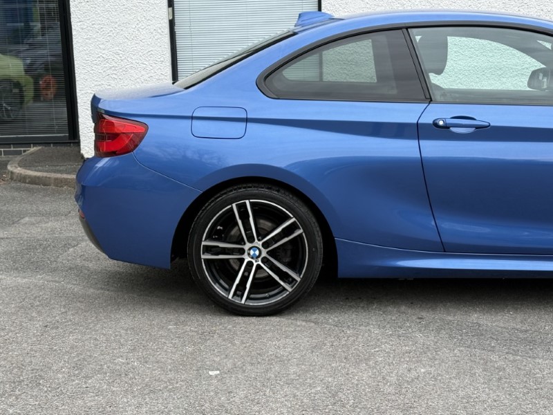 2017 (67) BMW 2 SERIES 218i M Sport 2dr [Nav] 5376960