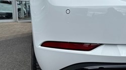 2019 (19) VOLKSWAGEN GOLF 2.0 TSI 300 R 5dr 4MOTION DSG 5290718