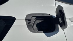 2024 (74) VOLKSWAGEN T-CROSS 1.0 TSI 115 Match 5dr DSG 5318457