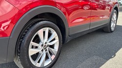 2024 (74) VOLKSWAGEN T-CROSS 1.0 TSI 115 Match 5dr DSG 5404974