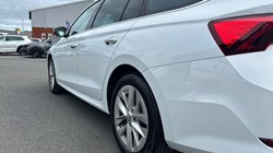 2023 (73) SKODA OCTAVIA 2.0 TDI 150 SE L 5dr DSG 5717878