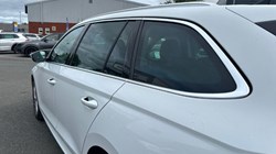 2023 (73) SKODA OCTAVIA 2.0 TDI 150 SE L 5dr DSG 5717877
