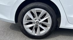 2023 (73) SKODA OCTAVIA 2.0 TDI 150 SE L 5dr DSG 5717847