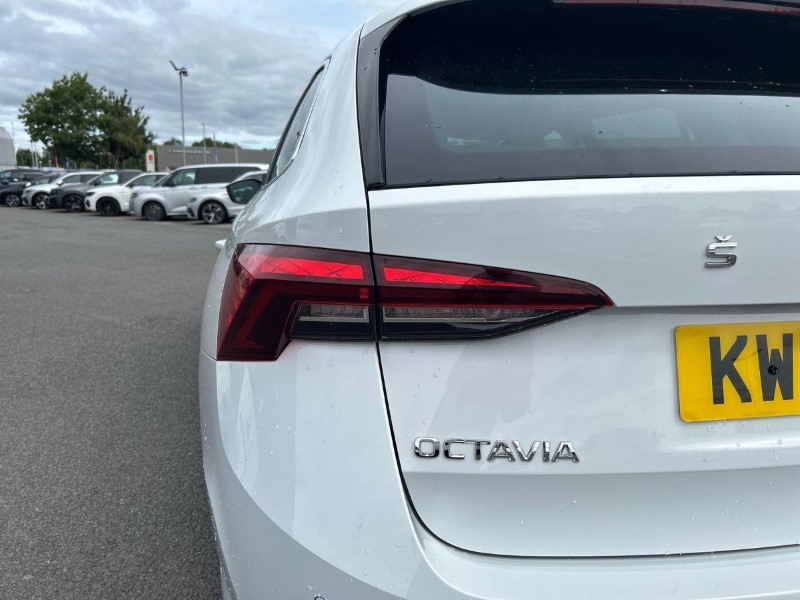 2023 (73) SKODA OCTAVIA 2.0 TDI 150 SE L 5dr DSG 5717882