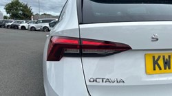 2023 (73) SKODA OCTAVIA 2.0 TDI 150 SE L 5dr DSG 5717882
