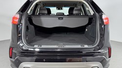 2019 (19) FORD EDGE VIGNALE 2.0 EcoBlue 238 5dr Auto 4891119