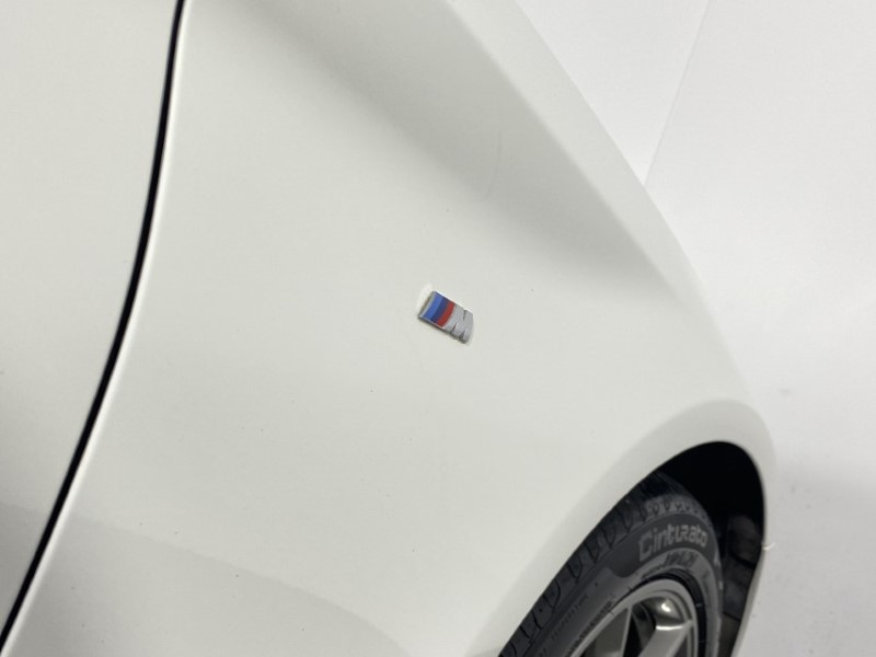 2019 (69) BMW 5 SERIES 520d M Sport 4dr Auto 4797754