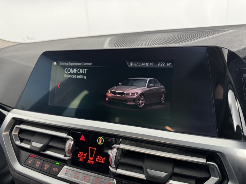 2019 (19) BMW 3 SERIES 320d Sport 4dr 4909451