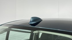 2019 (19) BMW 3 SERIES 320d Sport 4dr 4909476