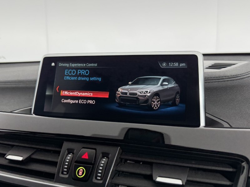 2020 (69) BMW X2 xDrive 20i Sport 5dr Step Auto 4973990