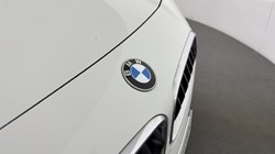 2020 (69) BMW X2 xDrive 20i Sport 5dr Step Auto 4974017