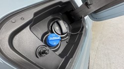 2025 (25) BMW X1 sDrive 18d M Sport 5dr Step Auto 5297491