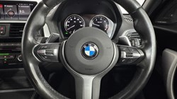 2019 (19) BMW 1 SERIES 120d xDrive M Sport Shadow Ed 5dr Step Auto 5597385