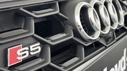 2020 (70) AUDI A5 S5 TDI Quattro Edition 1 2dr Tiptronic 5823674