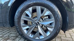2025 (25) KIA SPORTAGE 1.6T GDi 207 HEV GT-Line S 5dr Auto 4694304