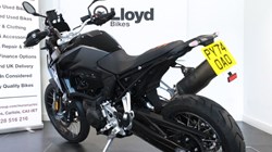 2025 (74) F 900 GS 4276667