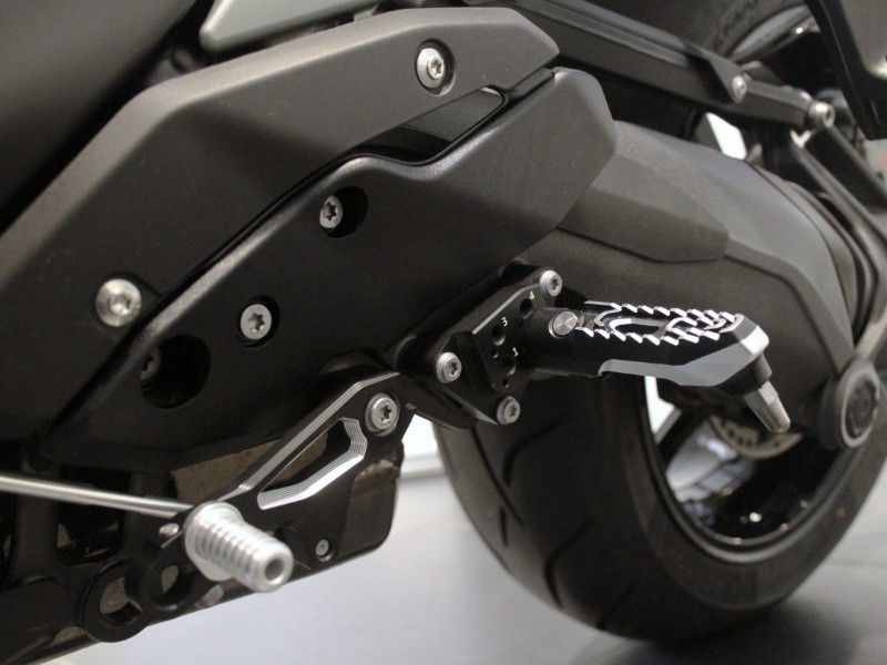 2025 (25) R 1300 RS SE 4975491