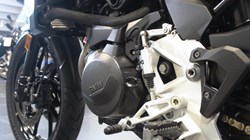 2024 (24) F 800 GS 5590621