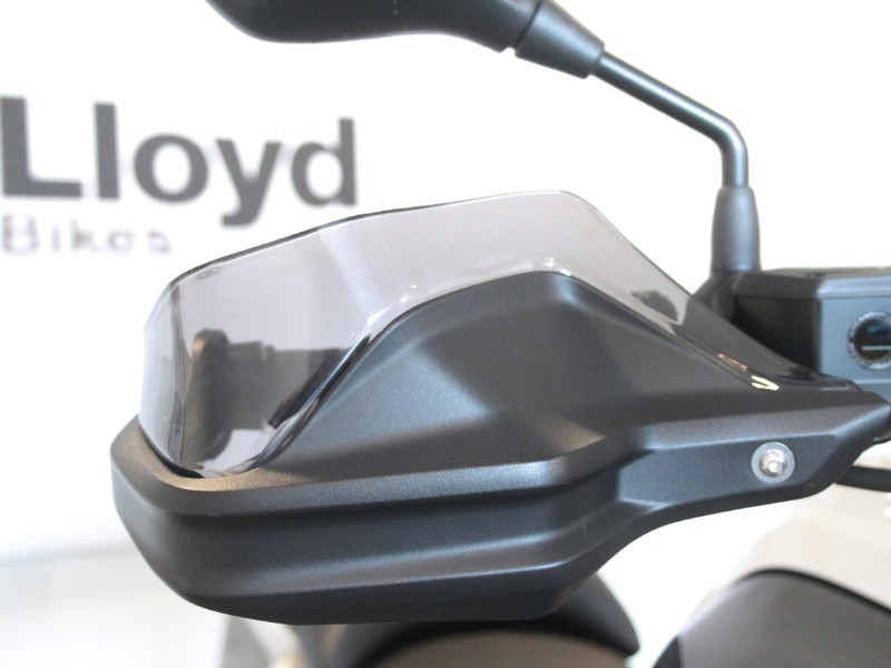 2021 (21) R 1250 GS TE 5875308