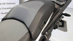 2025 (25) R 1300 GS TE 5817331