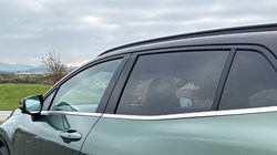 2023 (73) KIA SPORTAGE 1.6T GDi HEV GT-Line S 5dr Auto 4669957