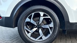 2021 (21) KIA SPORTAGE 1.6 CRDi 48V ISG 2 5dr 4881453