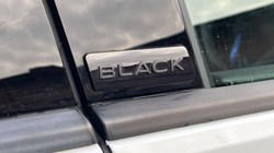 2024 (74) VOLKSWAGEN GOLF 2.0 TSI 333 R Black Edition 4Motion 5dr DSG 4903846