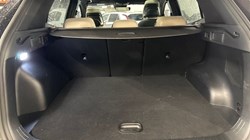 2025 (75) KIA SPORTAGE 1.6T GDi HEV GT-Line S 5dr Auto 4900596