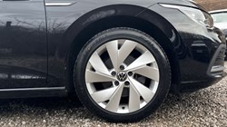 2023 (73) VOLKSWAGEN GOLF 1.5 eTSI 150 Style 5dr DSG 4985503
