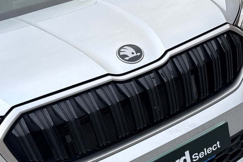 2025 (25) SKODA KODIAQ 2.0 TDI SE L 5dr DSG [7 Seat] 5004557