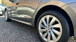 2024 (24) SKODA OCTAVIA 1.5 TSI 150 First Edition 5dr 4996324