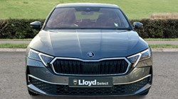2024 (24) SKODA OCTAVIA 1.5 TSI 150 First Edition 5dr 4996295