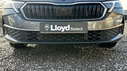 2024 (24) SKODA OCTAVIA 1.5 TSI 150 First Edition 5dr 4996326