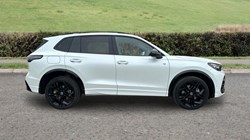 2026 (75) VOLKSWAGEN TIGUAN 2.0 TSI 265 4Motion Black Edition 5dr DSG 5549477